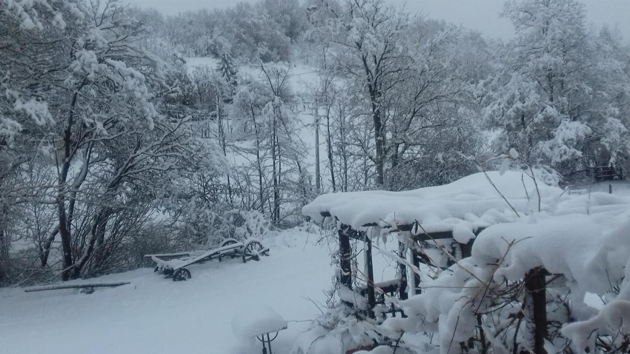 Il Pettirosso Di Giusvalla Exterior foto