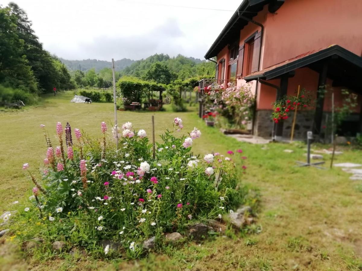 Il Pettirosso Di Giusvalla Exterior foto