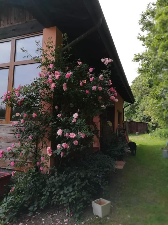Il Pettirosso Di Giusvalla Exterior foto